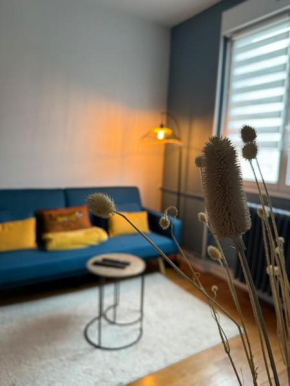 Suit 21 - Appartement 4 personnes Dijon Centre